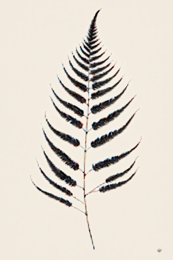 Print Fernfrond