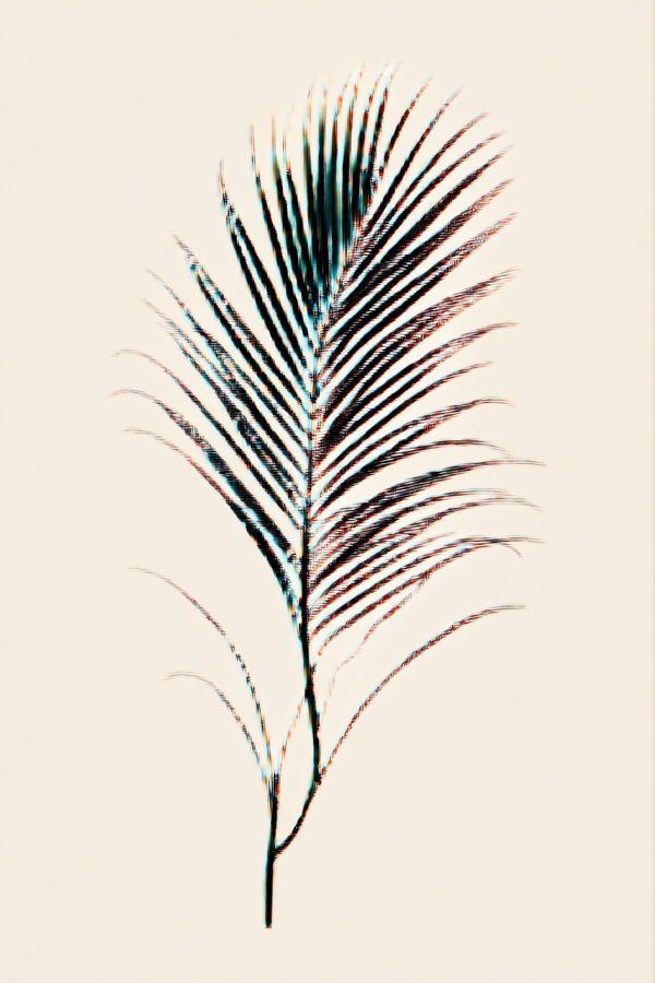 Print Palmleaf